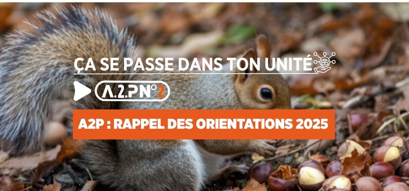 A2P