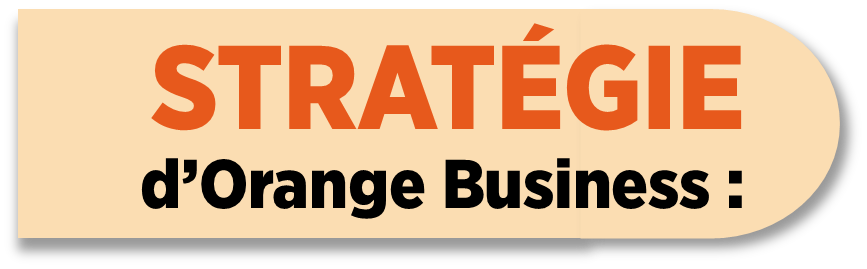 Stratégie d'Orange Business