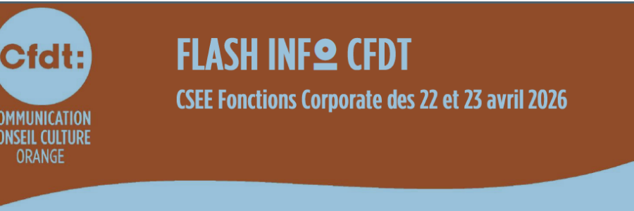 FLASH INFO /CSEE Fonctions Corporate