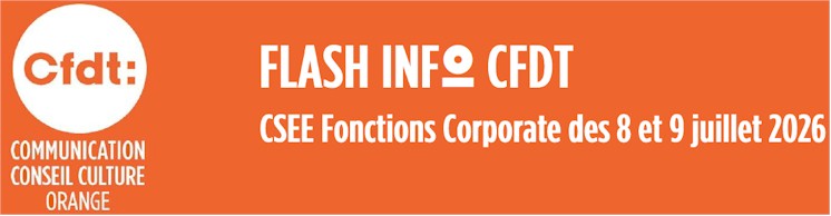 FLASH INFO /CSEE Fonctions Corporate